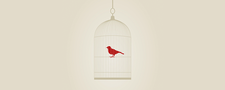 打电话打爆免费